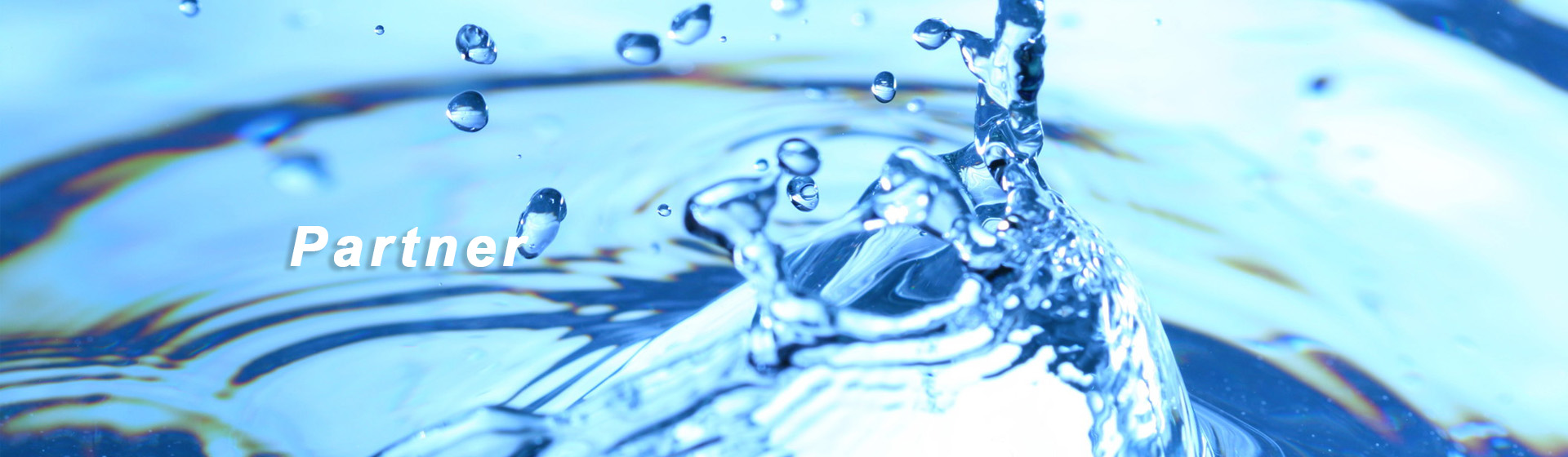 Domestic partners