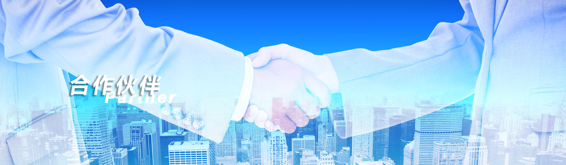 国内合作伙伴